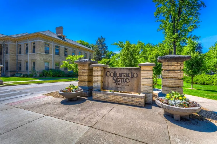 BS Biomedical Engineering + Electrical Engineering (Dual Major)