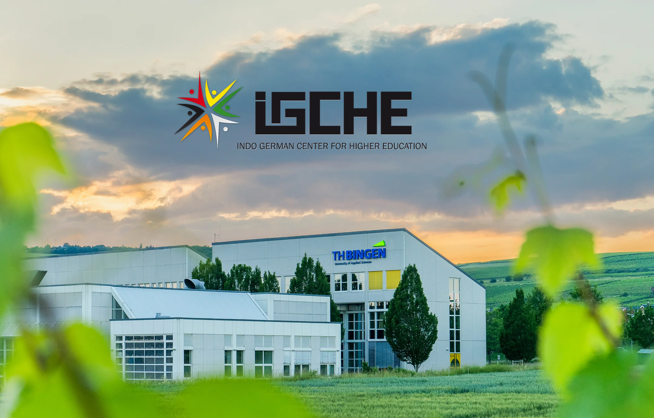 BEng Electrical Engineering